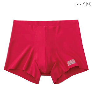 20%OFF GUNZE O[ BODY WILD AIRZ GA[Y {fBCh {NT[pc EGXgSȂ OƂ JbgIt (SEMELELLTCYj BWY900D