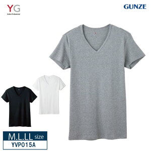 20%OFF GUNZE �O���[ YG �s���A�R�b�g�� V�l�b�N �ێ� ��100% ���� �V���c �����Y �R�� �h�L M�EL�ELL�T�C�Y YVP015A