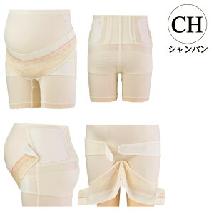  { INUJIRUSHI   Dw I[C}^jeBpc }}ƌ̋Ji    T|[g pc^Cv MELELLTCY HB8392 inu_c100 ma_p inu_s