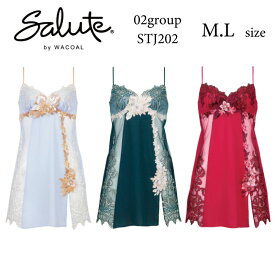 28%OFF ワコール Wacoal サルート salute 02グループ 02G BTJ402 ペア スリップ ランジェリー 下着 単品 レディース 女性 M・Lサイズ STJ202