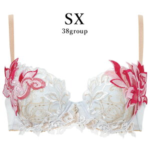 25%OFF ���R�[�� Wacoal �T���[�g salute 38�O���[�v 38G �v�b�V���A�b�v P-UP 3/4�J�b�v�u���W���[ ���� �P�i ���f�B�[�X ���� D�EE�EF�J�b�v BTJ438 glm