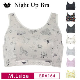 25%OFF ワコール Wacoal ナイトアップブラ Night Up Bra おやすみブラ 夜用ブラ ナイトブラ バストケア 下垂防止 ノンワイヤーブラ (M・Lサイズ) BRA164 3wY