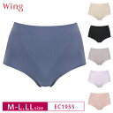 18%OFF Wacoal ワコール Wing ウイング ショーツ なめらかな肌ざわり はきこみ丈ふかめ M-L/LLサイズ EC1955