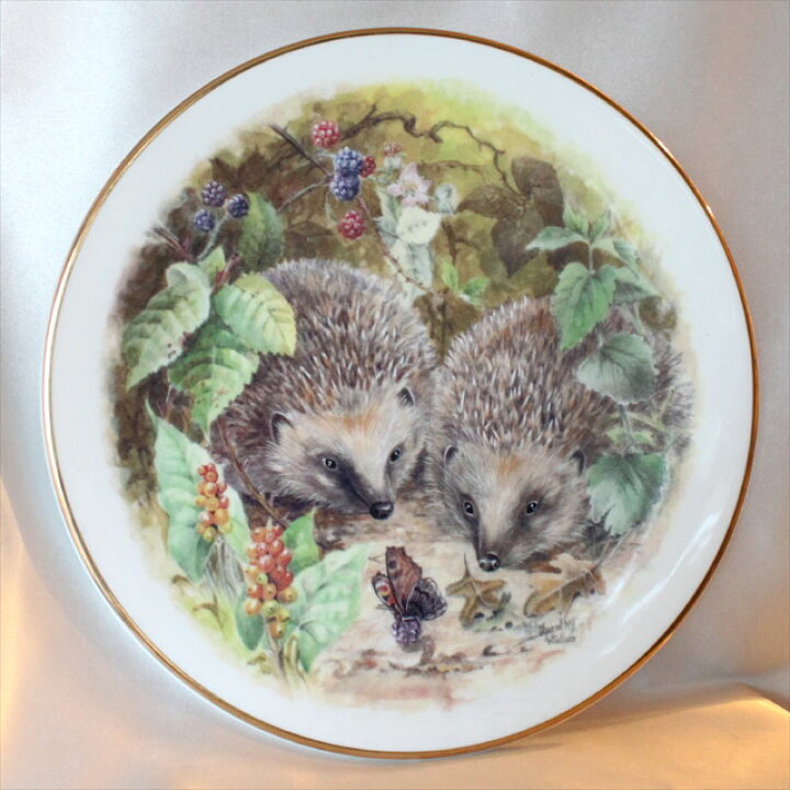 楽天市場】ハリネズミ ヘッジホッグ 絵皿 ニコラス ジョン イギリス 