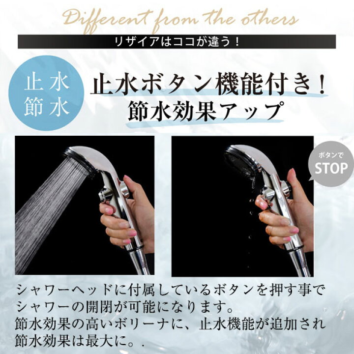 楽天市場】【3000円クーポン】【365日出荷】【おまけ付】ボリーナ 