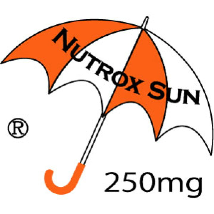 楽天市場】【2000円クーポン】【365日出荷】【おまけ付】BE-MAX theSUN 