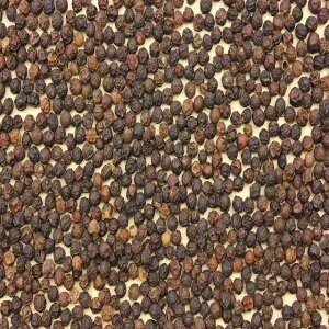 ubNybp[ z[ 100g Ӟ XpCX h