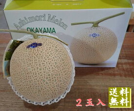楽天市場 岡山 メロン フルーツ 果物 食品の通販