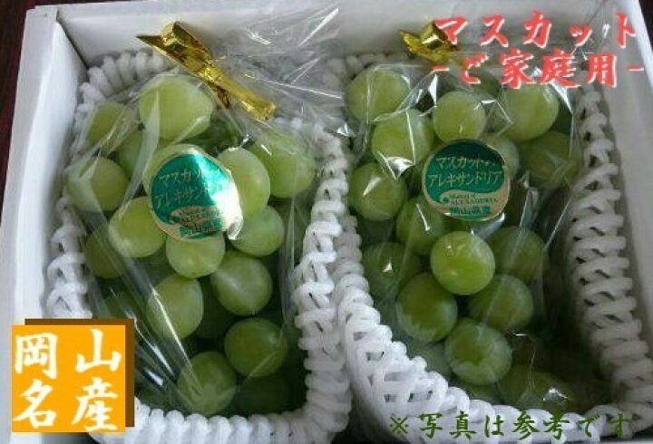 Sale 84 Off ご家庭用お試し品ぜひ岡山のぶどうをご賞味ください 岡山ぶどう ブドウお試し2房入 Beacondinernj Com