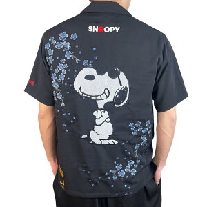 J JN_}VC Xk[s[ R{ a Vc Y   252055 