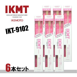 |Xg IKT9102-6 nюuV RpNgwbh 炩 6{Zbg{/IKEMOTO/r{q//s