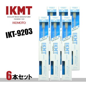 |Xg IKT9203-6 ؖюuV RpNgwbh ӂ 6{Zbg{/IKEMOTO/r{q//s