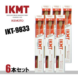 |Xg IKT9833-6 ؖюuV RpNgwbh  6{Zbg{/IKEMOTO/r{q//s