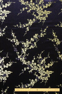 `CihXpn `Cin RXv  悳 ubN  y50cmȏ10cmPʂł̔̔z