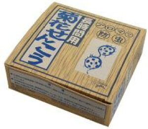 y1z˂@eԂ񂱂Eԗp20yȊOz