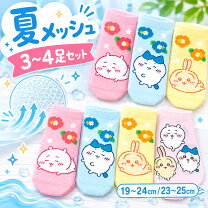 楽天市場】ちいかわ 文房具（靴下｜靴下・レッグウェア）：レディース 
