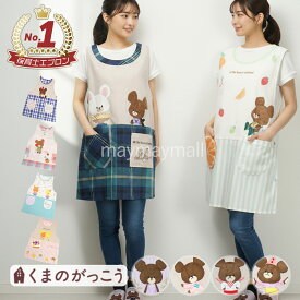 ＼本日5のつく日！お買い物マラソン最終日／くまのがっこう ジャッキー エプロン 保育士エプロン 新作 絵本 刺繍 保育士 幼稚園 保育園 先生 レディース フリーサイズ チュニック キャラクター かわいい おしゃれ ギフト 2025 秋冬 人気 動物 ルルロロ
