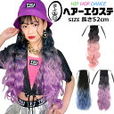 即納 ウェーブ エクステ グラデーション ヘアーエクステンション ポニーテール 女の子 子供 キッズ ガールズ ウイッグ…