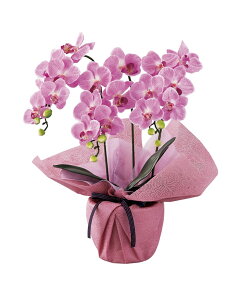 SC�G�}���H �~�j�Ӓ����O�{�����i�A�[�e�B�t�B�V�����t�����[�j �t���b�V���s���N minipo-fp