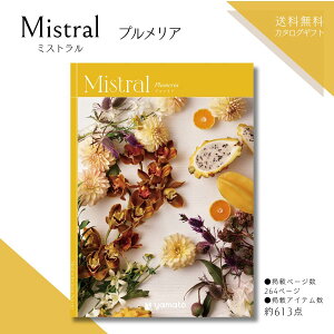 J^OMtg ~Xg Mistral vAR[X  @̂Ԃ J^OMtg @Ԃ e{ i J^OMtg TԂ @Ԃ Ԃ @ Ԃ̕i @