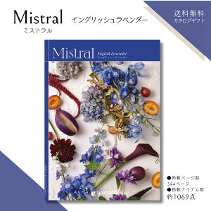 J^OMtg ~Xg Mistral CObVx_[R[X  @̂Ԃ J^OMtg @Ԃ e{ i J^OMtg TԂ Ԃ @ Ԃ̕i @