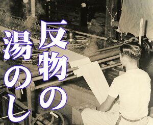 ۊ́y ̂iǂ݁ĵ z Ђ  H ۃX`[vX O䕨 (13m)@l䕨(16m) y R RECXdグt z Oタ߂jَt s{