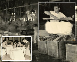 ΂݉ςÂn̍Đ dグ n 15m`18m܂ł̒l䕨 ė ˂ n̍ĐH {Y+Ђ ̂܂މi 𑗗Sł