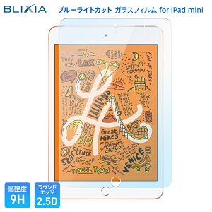 30%OFFI9/4 20:00`9/11܂ŁIyBLIXIAziPad mini 7.9C` 4 5 9H u[CgJbgKXیtB Apple یV[g jh~ tی ACpbh~j uVA 365ۏ