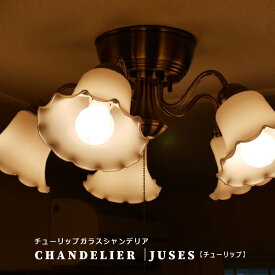 【洋風シャンデリアのインテリア】シャンデリア 天井照明 照明器具 モダン フラワーシェード ヨーロッパ照明 led アンティーク ガラス 洋風 シンプル 照明 LED対応 エレガント 姫照明 リビング ダイニング 6畳 8畳 10畳 12畳 おしゃれ 洋室 和室 フラワー 居間用 直付け