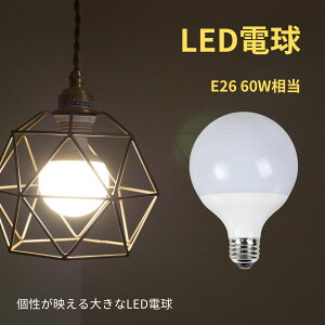 ydF̑傫TCYLEDdz LEDd gC L N[[bg  LED 邢 E26 6 LDG6L-G AS93 I[d@ dC Cg tAX^h 傫d VƖ Ɩ V[OC