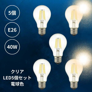 【 5個 セット 電球色5個 】 LED電球 電球色 5個 E26 クリア 透明 一般電球 40W相当 3.8W 494ルーメン 1灯 ランプ ライト カフェ インテリア キッチン リビング ダイニング 寝室 アンティーク おしゃ
