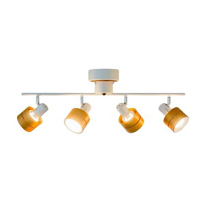 y_ȃRƖ z V[OCg R led VƖ V[OX|bg 4 6 8 10 Rt k rO _CjO m m Ɩ  邢 a 