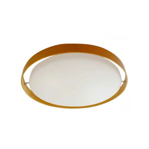 yIׂJ[FRƖz V[OCg led Rt VƖ Ɩ F 6 8 10 14 Hp ^C}[t Ɩ _CjOp 邢  