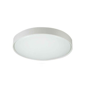 yIׂJ[FRƖz V[OCg led Rt VƖ Ɩ F 6 8 10 14 Hp ^C}[t Ɩ _CjOp 邢  