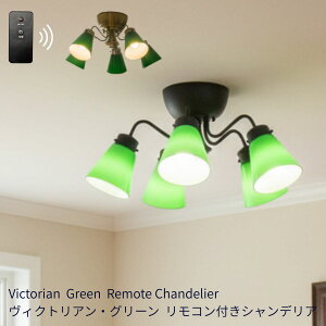 yRVfAz VfA R [bpƖ _ O[ oJ[Yv led e17 Ɩ  LEDΉ AeB[N GKg Hp R rO 