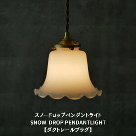 【ダクトレールプラグ】 led ペンダントライト ダクトレール ライティングレール ダクトレール用 レール ダクトプラグ ライト ダクトプラグ 照明 ガラスペンダント アンティーク 調光 おしゃれ LED照明 北欧 西海岸 キッチン 天井照明 リビング ダイニング 照明器具 新生活