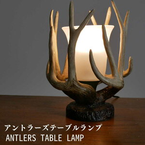 y e[uvANTLERS z e[uCg fXNv e[uv fXNCg Ɩ _ LED rO _CjO 邢 吳}  LEDƖ AeB[N d P