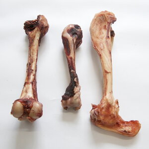 {[TCY 1{iTCY͎ʐ^FEx̂́jōi hbOt[h Yybgt[h  ̍  ̂ GT a ybgY ̂ 