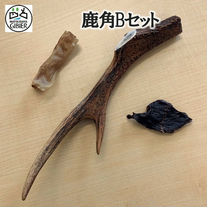 楽天市場】鹿ツノBセット令和6年10月獲れ！※おやつは時期により新鮮な 