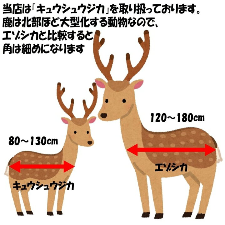 楽天市場 送料無料 犬用 ジャーキー 鹿 ジャーキー アバラジャーキー300g鹿肉 ジャーキー 鹿 あばらドッグフード 犬 おやつ 無添加 国産 低アレルギー 無添加おやつ ジビエ シカ肉 犬用おやつ 小型犬 中型犬 大型犬 シニア 安心安全 まつだ屋ジビエ