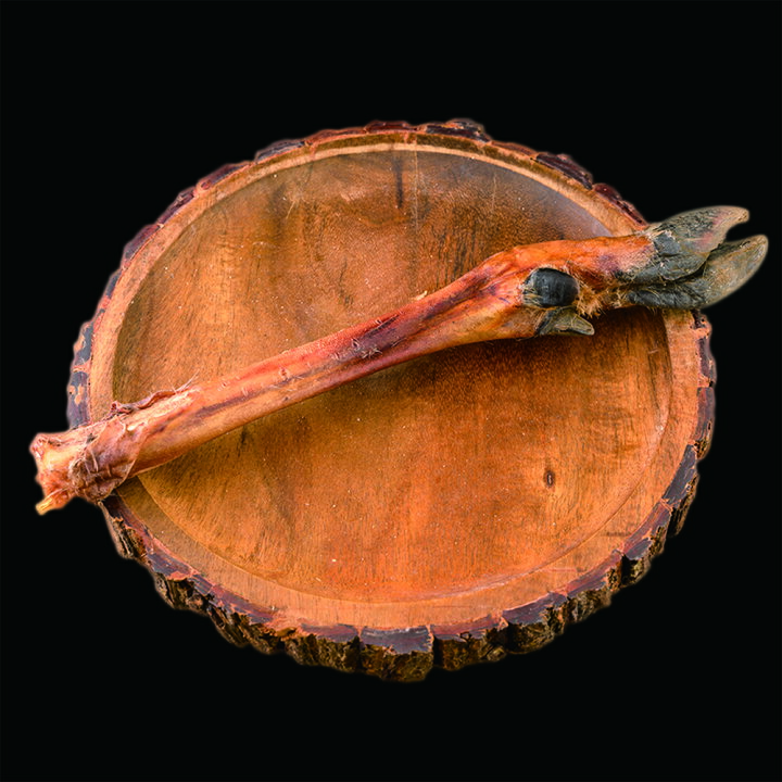 即納特典付き 鹿の足aセット 皮付き ツメ付き 髄丸出し スネボーン 小型犬用 最高級品質 ドッグフード ペットフード 繊細な九州鹿 安心 安全 おやつ 無添加 天然 国産 ジビエ 低脂肪 高タンパク ヘルシー Trofej Dinamo Hr