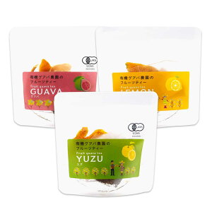 L@OAo_̃t[ceB[3Zbg hV̓ Mtg 2000~  v`Mtg  t[ceB[ hCt[c s[ Y eB[obO N mJtFC 3  2000~ 