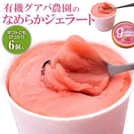 お歳暮 アイス ギフト 送料無料 お歳暮ギフト ジェラート 100ml 6個 グアバ なめらか アイスクリーム シャーベット デザート おやつ 甘い 美味しい プレゼント お祝い 内祝い 誕生日 誕生日プレゼント 自分用 贈答 ご当地アイス お取り寄せグルメ 詰め合わせ ご褒美 4000円