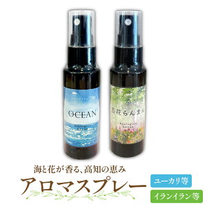 AR100A}Xv[bA} A}~Xg tOX s[Xv[  S ܂ Ocean I[V C   }XN v`Mtg v[g
