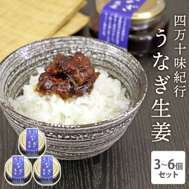 四万十味紀行 うなぎ生姜 3個セット 6個セット l 鰻 うなぎ ウナギ 煮付 ギフト プレゼント 有機 高知 瓶詰め ひつまぶし 国産 ごはんのお供 ご飯のお供 しょうが お歳暮 詰め合わせ お取り寄せ 常温 4000円 6000円