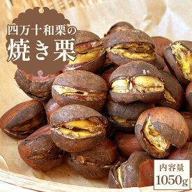 四万十和栗の 焼き栗 1050g l お菓子 和菓子 和栗 ポリフェノール ギフト プレゼント スイーツ お取り寄せグルメ お取り寄せスイーツ プレゼント 絶品 国産 詰め合わせ 冷凍 送料無料 お取り寄せ 誕生日プレゼント お歳暮 7000円
