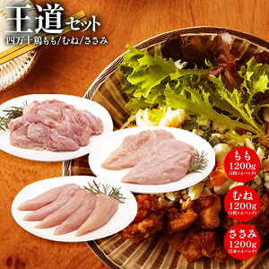 l\{EނˁE݉Zbg | tCh`L `L  ނ˓ g g 炠 Ƃ̓g j a ̓ ̓ a ƒp p p