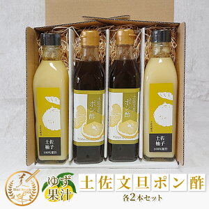 䂸ʏ` yU|| e2{Zbg 300ml l  Mq  XC[c Mtg p v[g