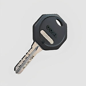 GOAL V-SRS@V-18L[ti[J[j