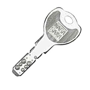 NAGASAWA NFV_[p@NT-R